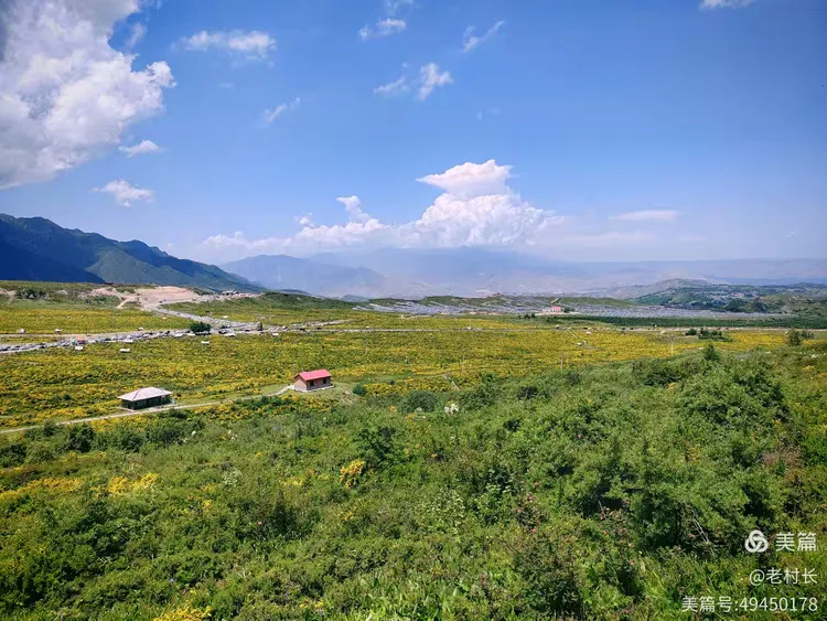 积石山黄草坪风景如画